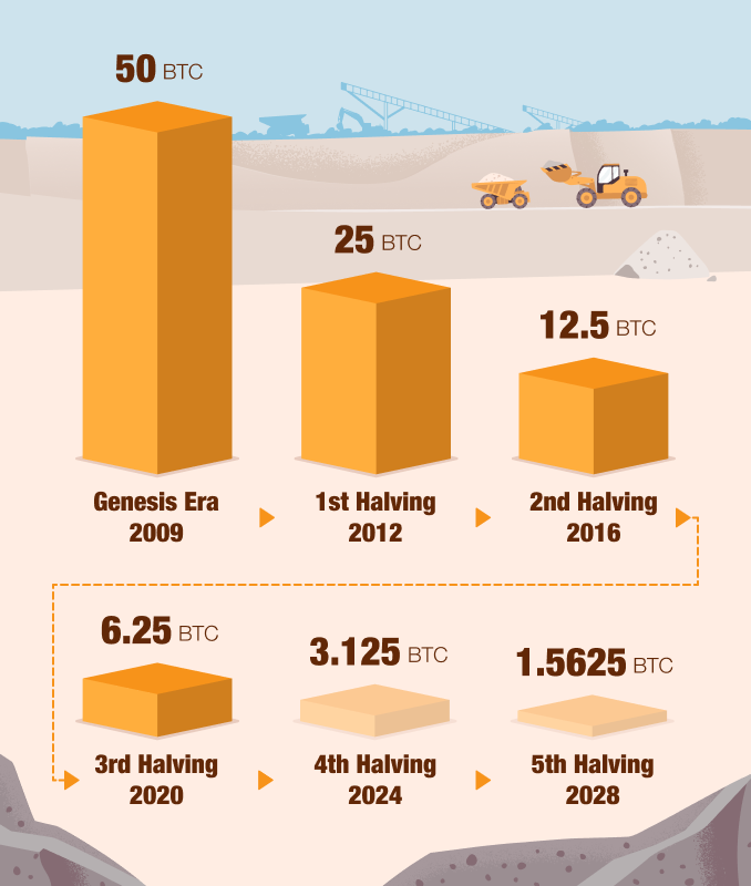 bitcoin halving cycles, bitcoin halving history, bitcoin halving 2024, bitcoin halving 2028, bitcoin halving 2020